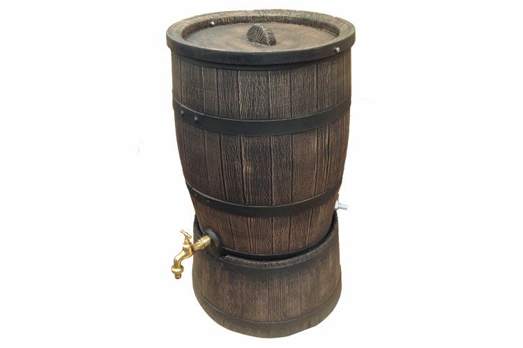 000000000307-02-l.jpg?t=