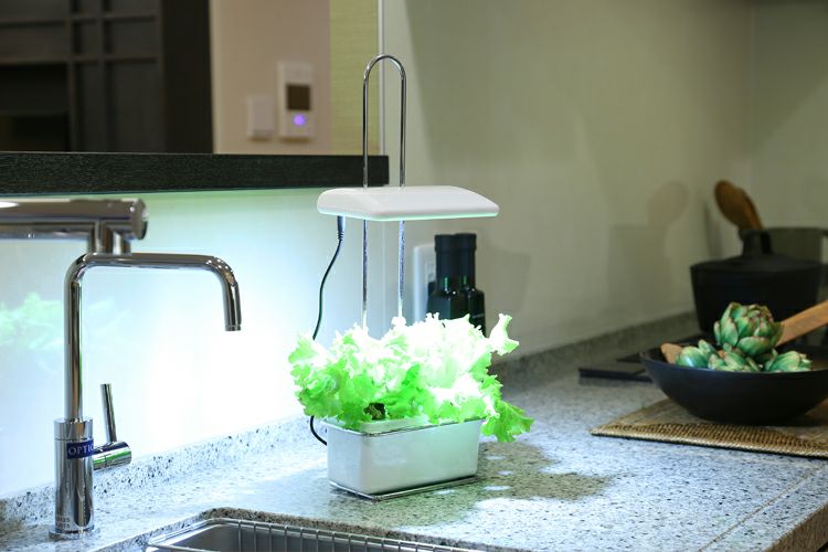 アカリーナ　水耕栽培器　オリンピア照明 MotoM モトム LED水耕栽培器 灯菜 アカリーナ Akarina01RN