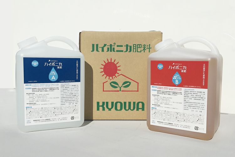 農業者向け】光合成・発根促進に液体肥料「鉄力あくあ®F14」がおすすめ！｜わいずニャン情報局｜農業用品販売のプラスワイズ本店