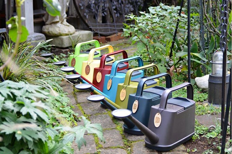 旧裏 neo バンギラス ハピナス キングドラ 等 キラ 6枚 セット 楽天市場】ポケモンカード バンギラスの通販