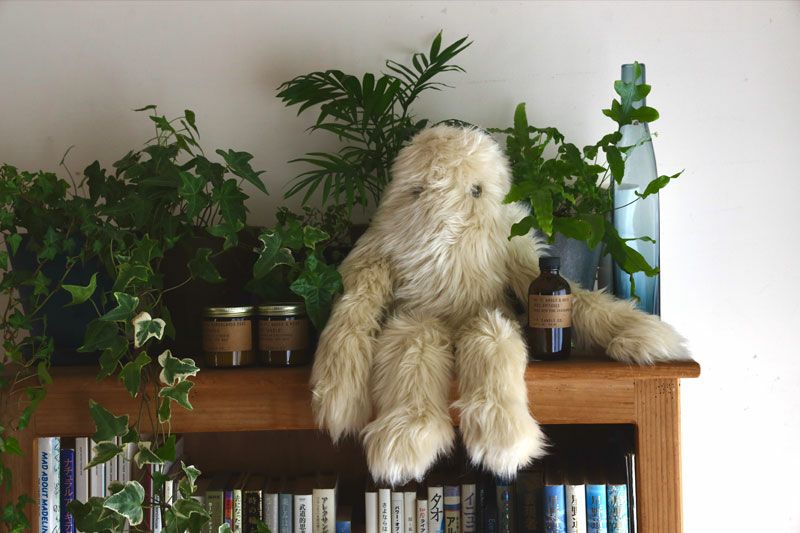 fabrico yeti セット Yeti Super ｜Fabrico | はちみせ （83）